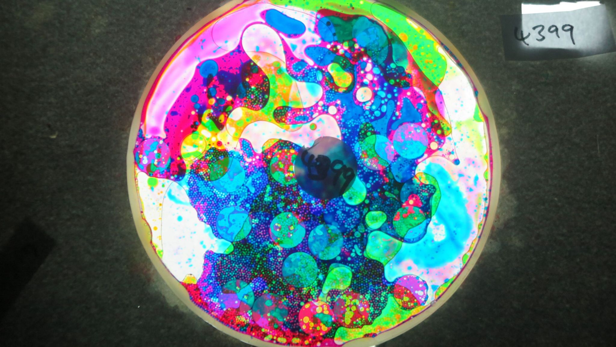 BV4399 bubble vision oil wheel